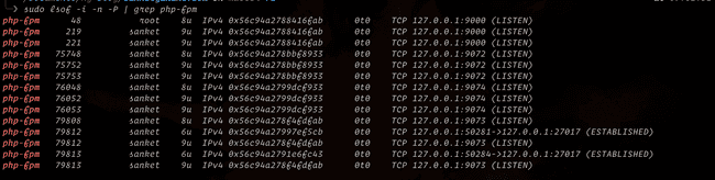 php-fpm-running-process